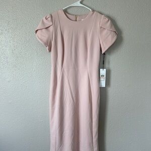 NWT Calvin Klein Soft Pink Midi Dress